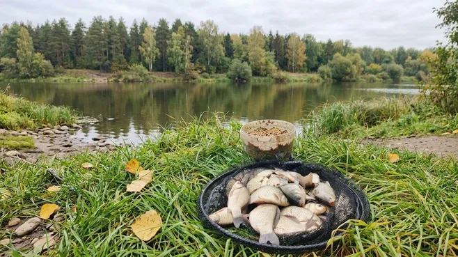 Картинка
