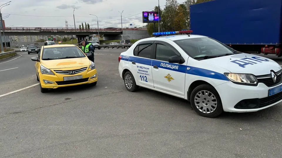 Фото: МУ МВД России «Щелковское»
