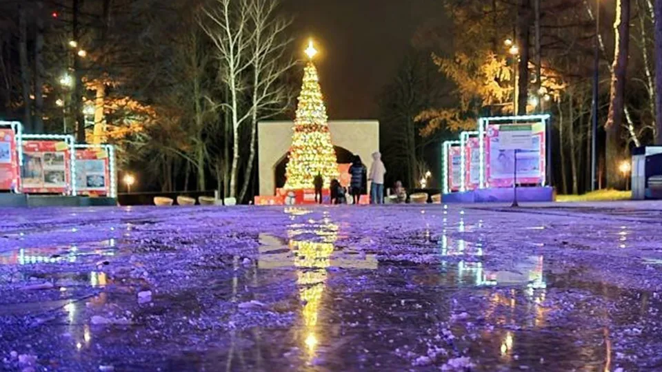 Фото: Андрей Башинский