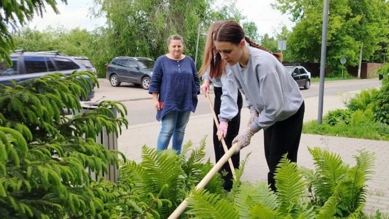 Картинка