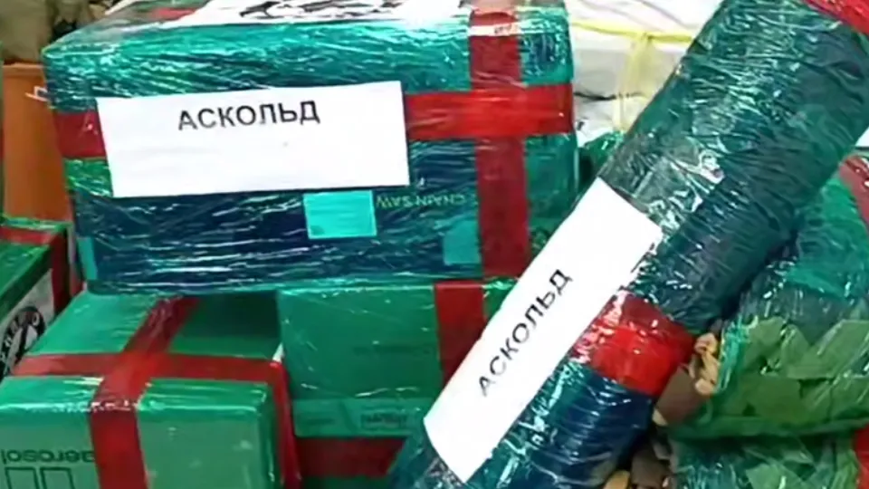 Фото: Раменский медиацентр
