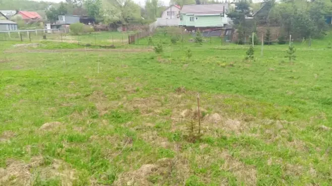 Участок на торгах в Чехове