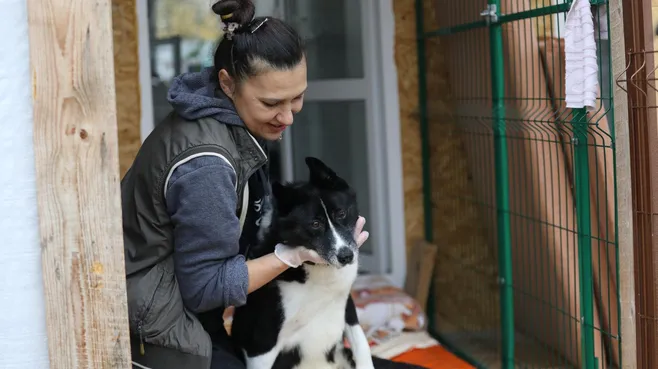 В Подмосковье запустили ежегодную региональную акцию помощи бездомным животным «Дай лапу»