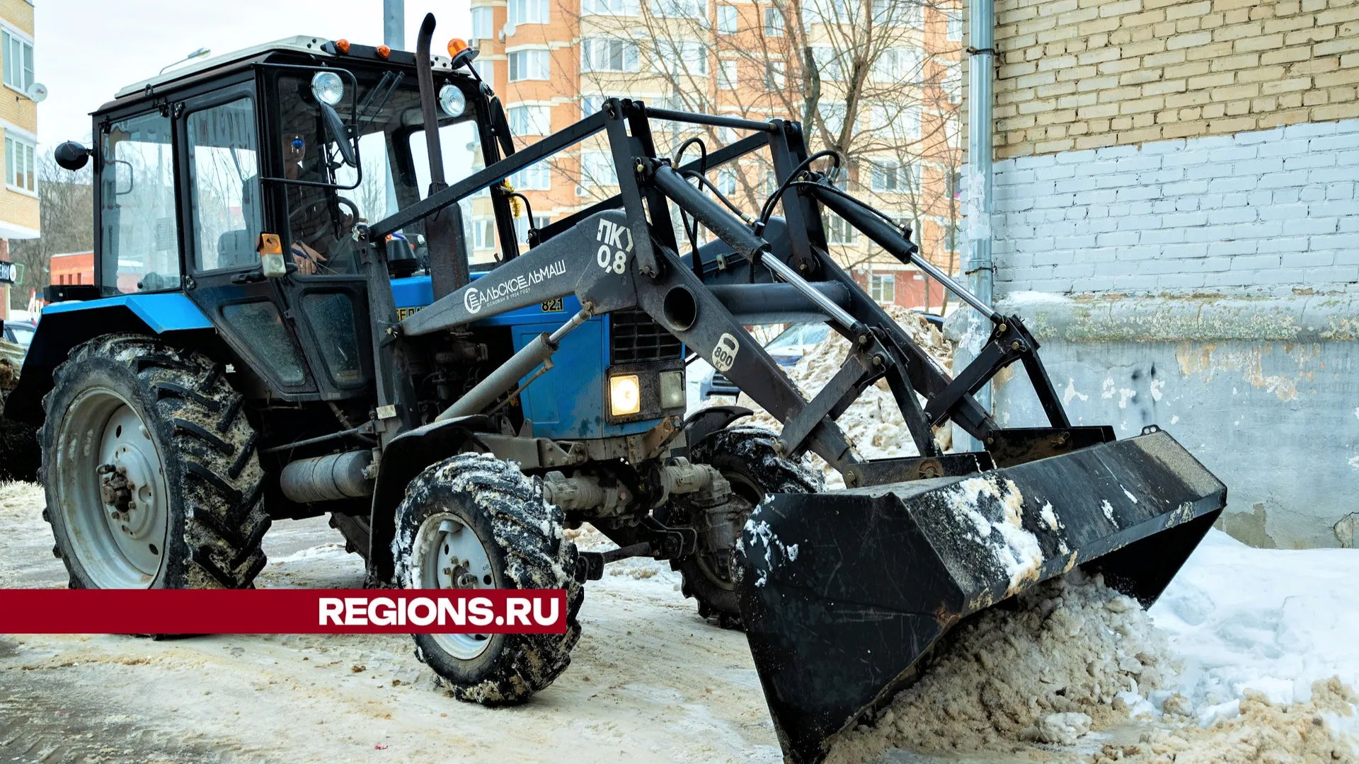 Фото: пресс-служба администрации г. о. Лыткарино