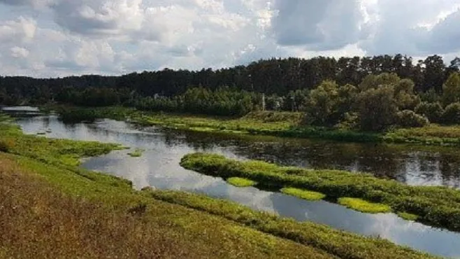 Фото: Министерство экологии и природопользования Московской области