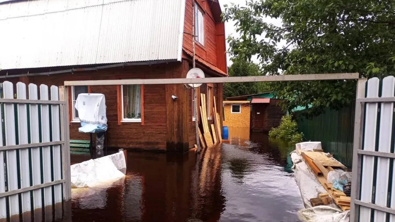 Картинка
