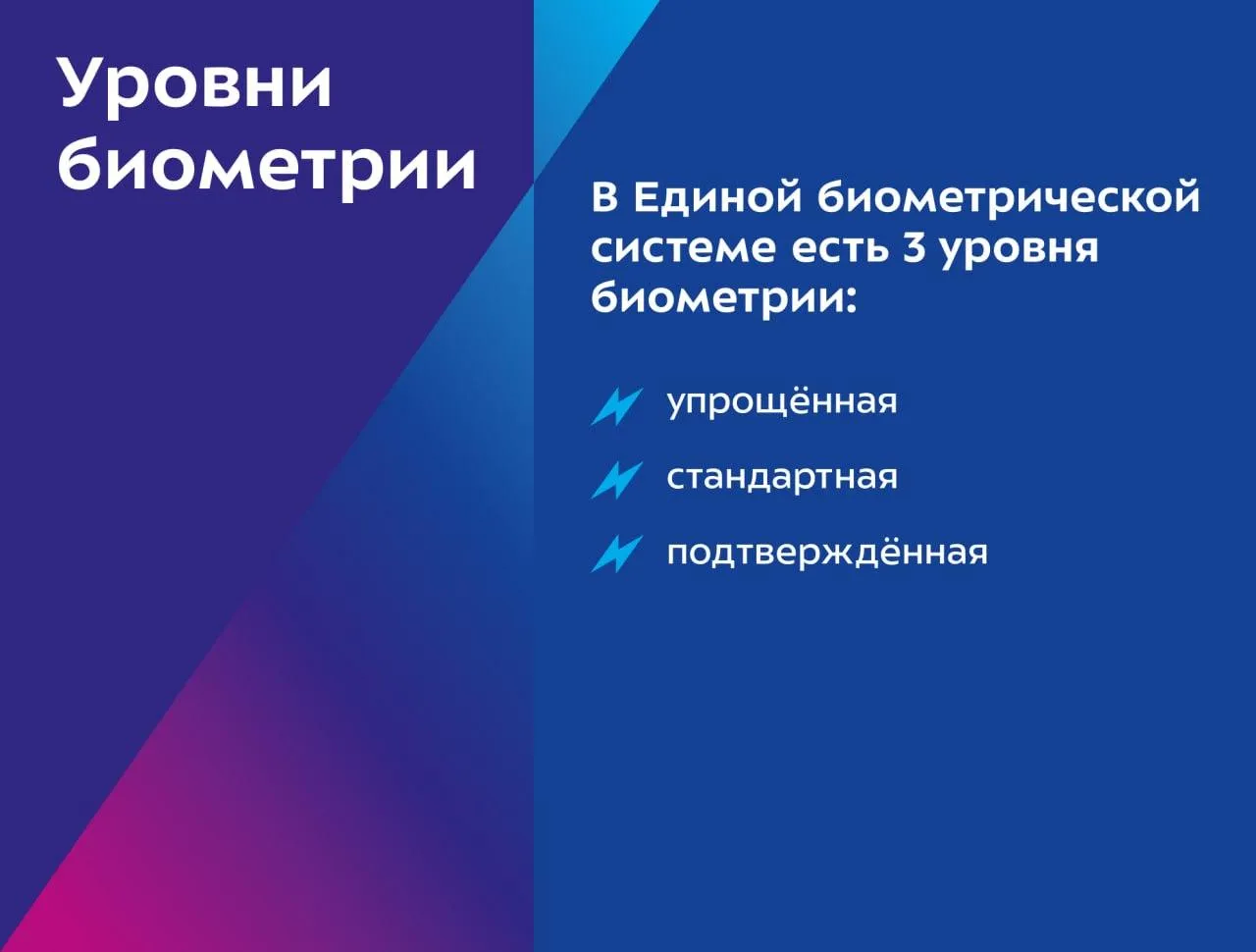 Telegram/Биометрия РФ