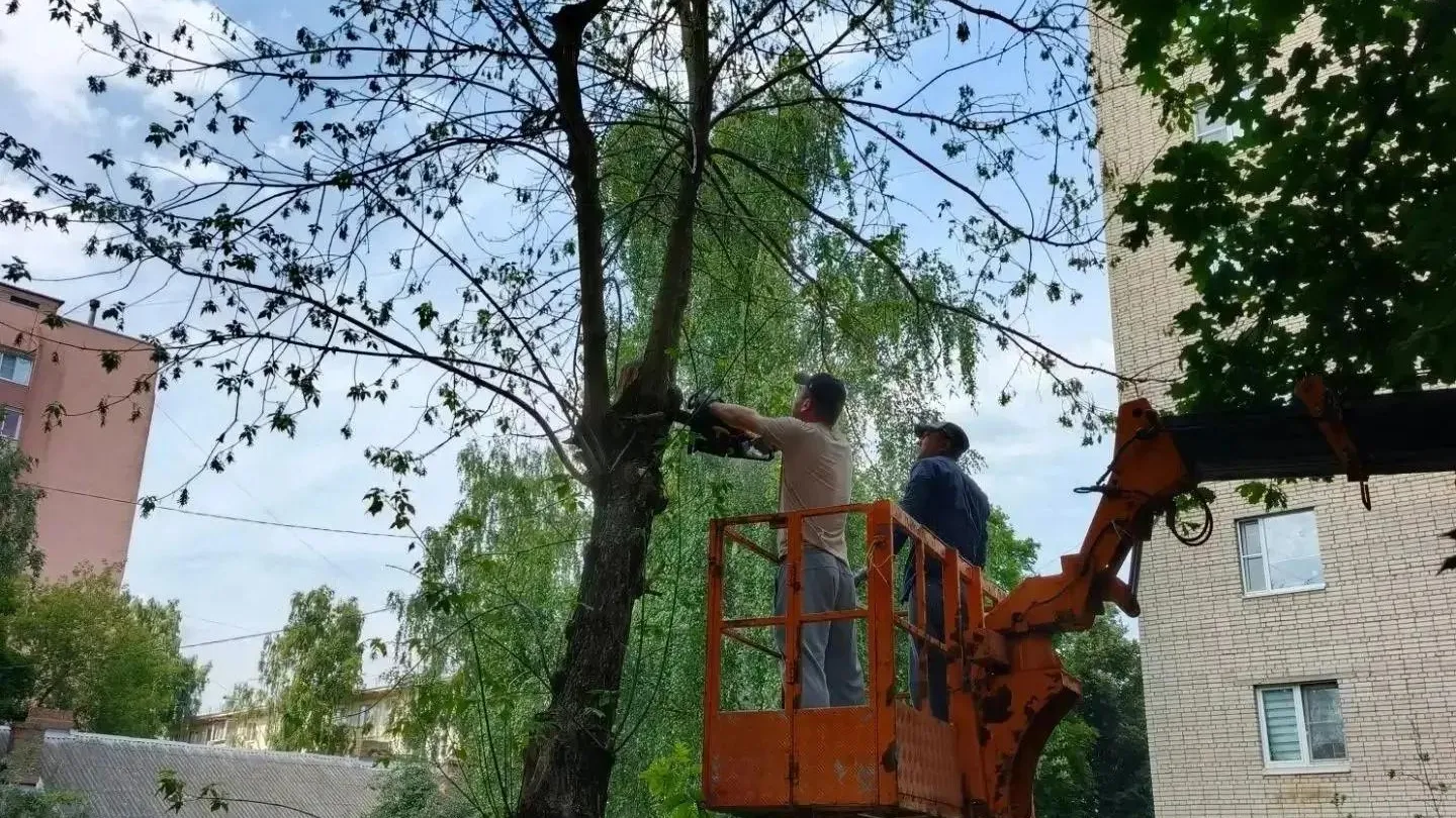 Картинка
