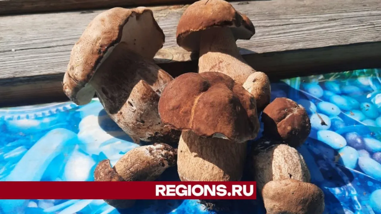 Фото: предоставлено Алексеем Ефремовым