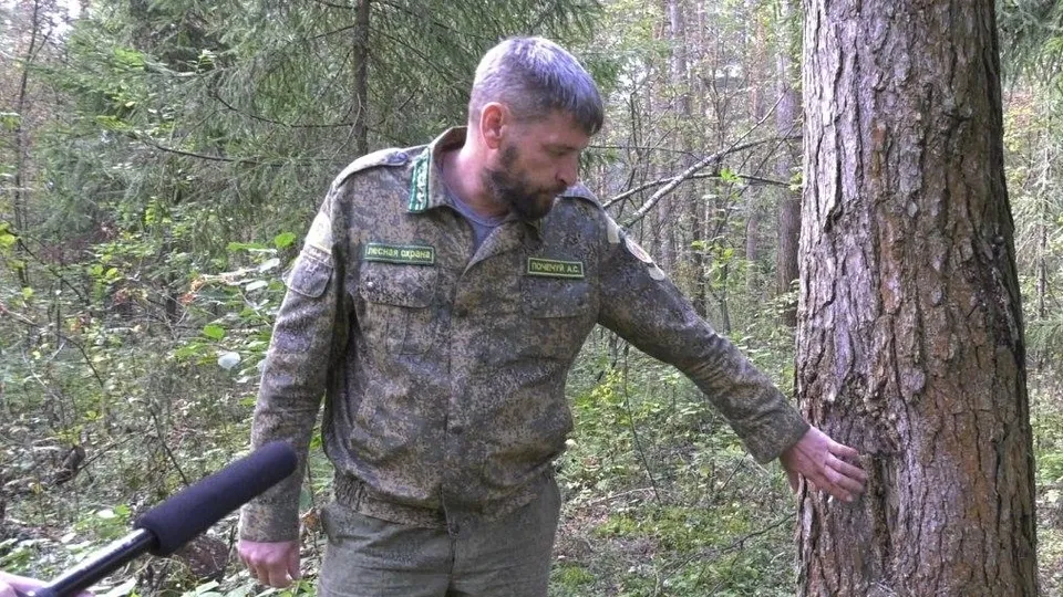 Фото:пресс-служба администрации муниципального округа Егорьевск