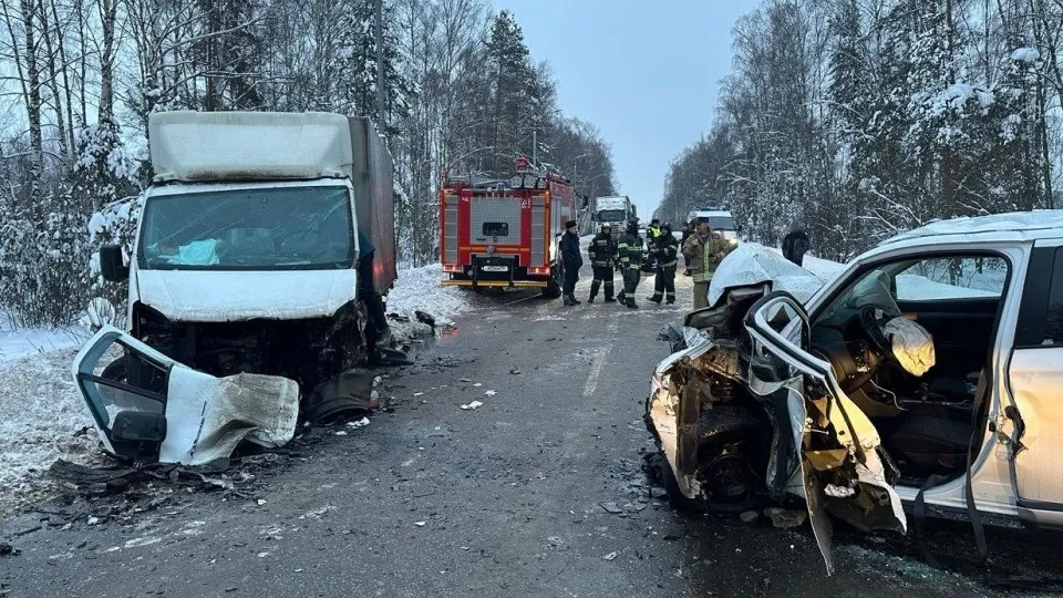 Фото: ГКУ МО «Мосооблпожспас»