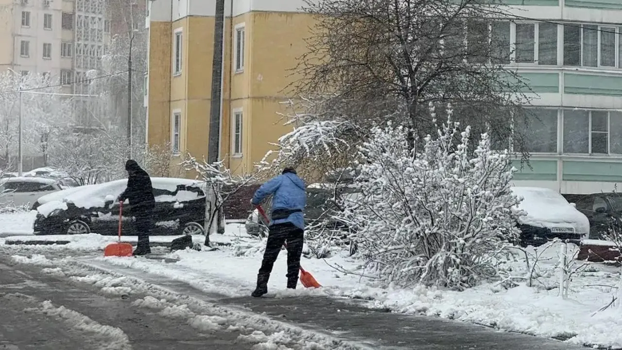 Картинка
