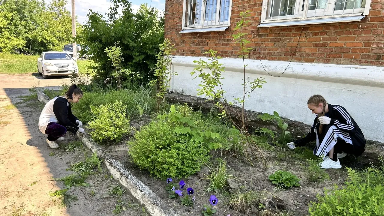 Картинка