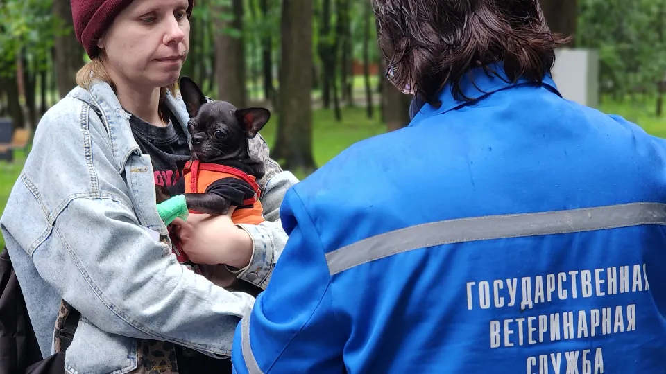 Фото: МедиаБанк Подмосковья/Валерия Тингаева