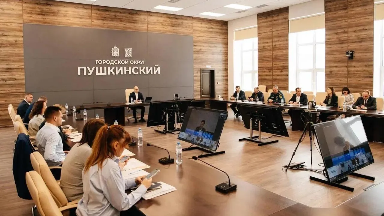 Более 20 контейнерных площадок обновят в Городском округе Пушкинский