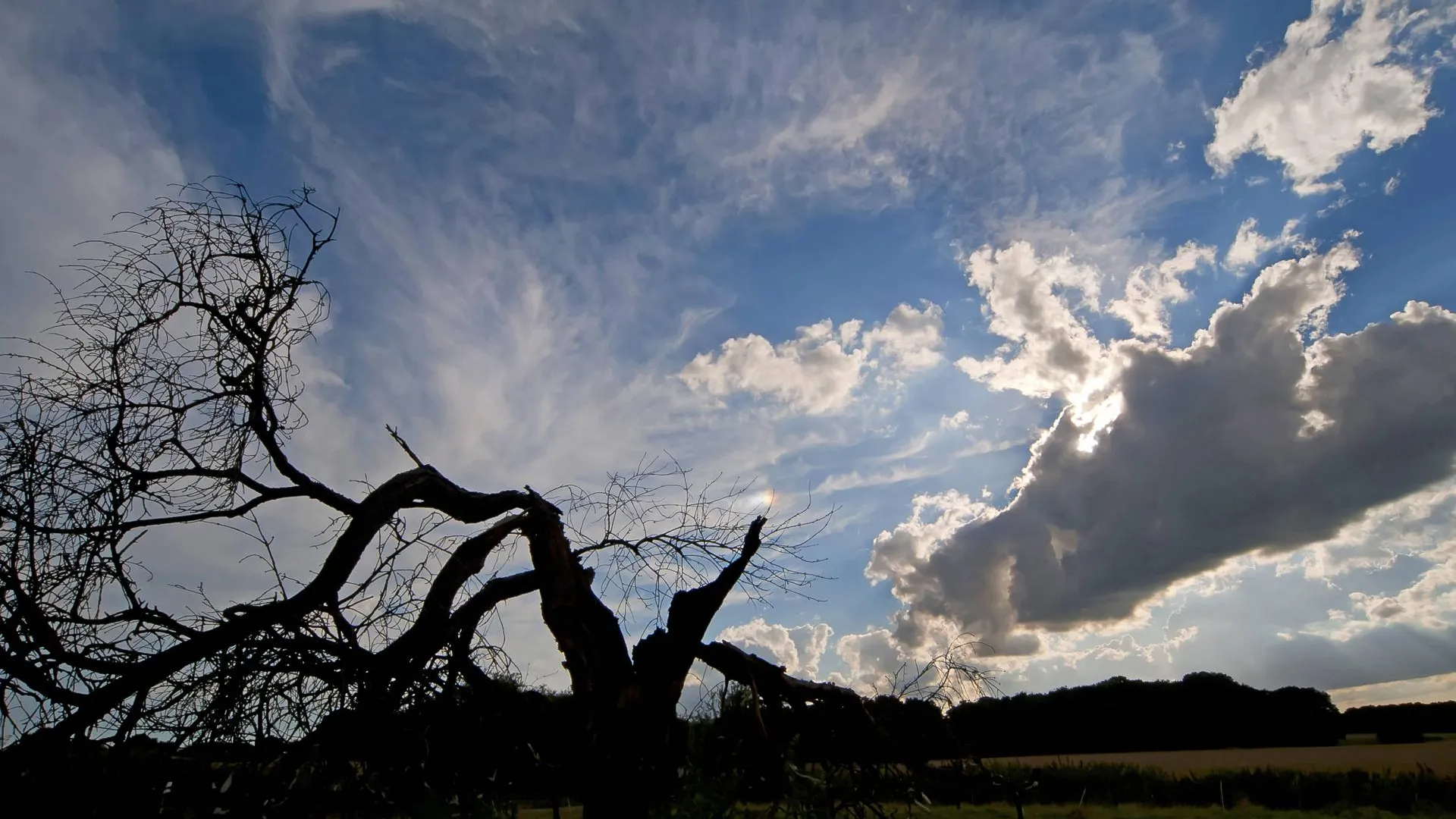 R. Wilken/blickwinkel