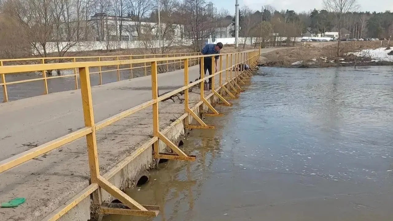 Картинка