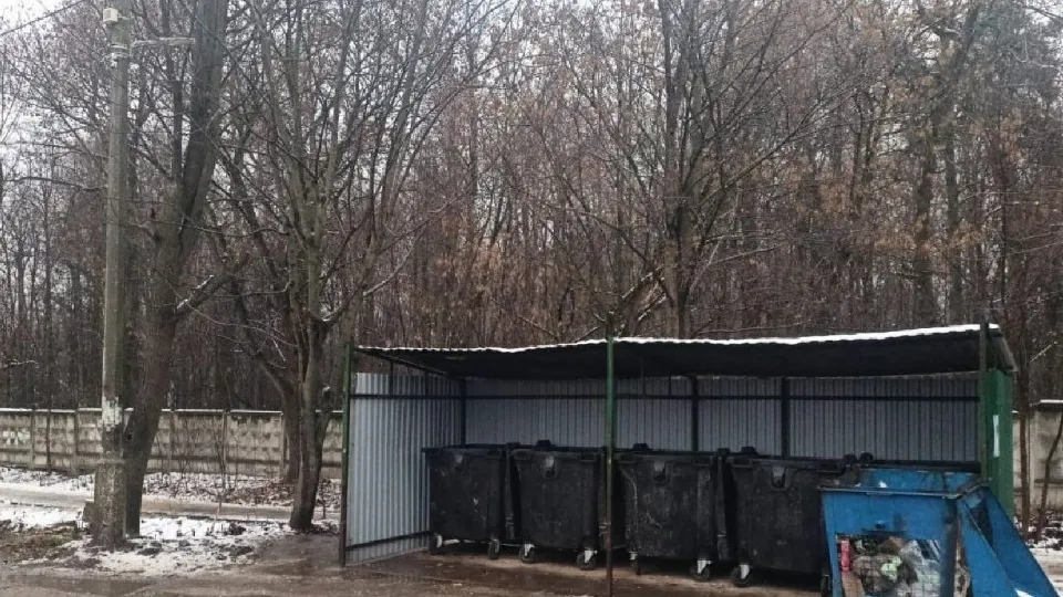 Фото: пресс-служба администрации г.о. Лосино-Петровский