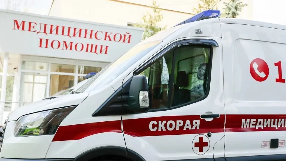 Фото: пресс-служба губернатора и правительства Московской области