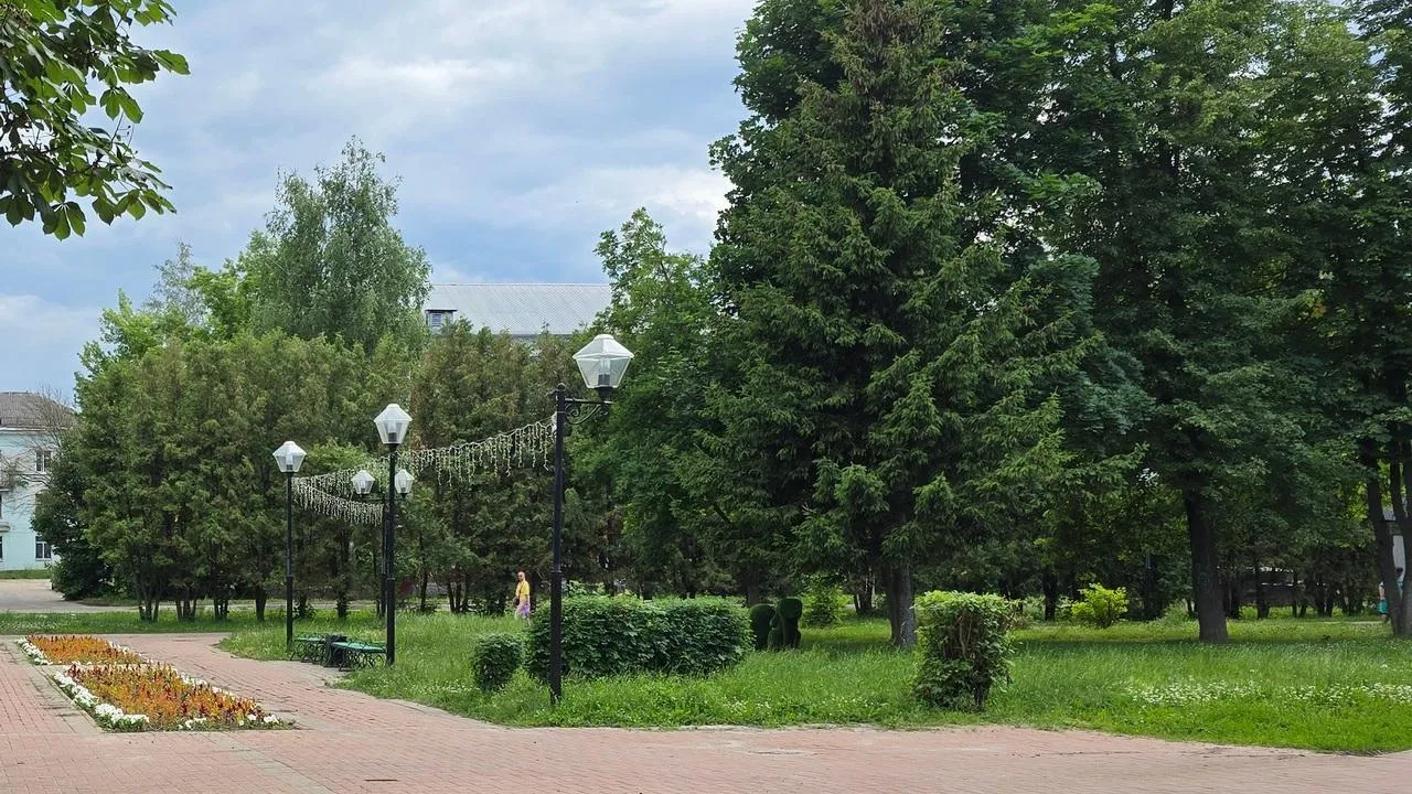 Картинка