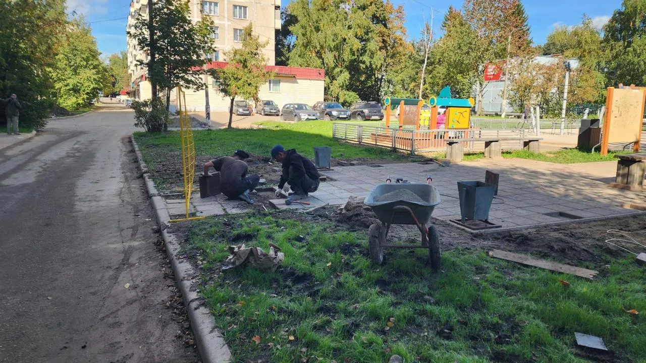 Картинка