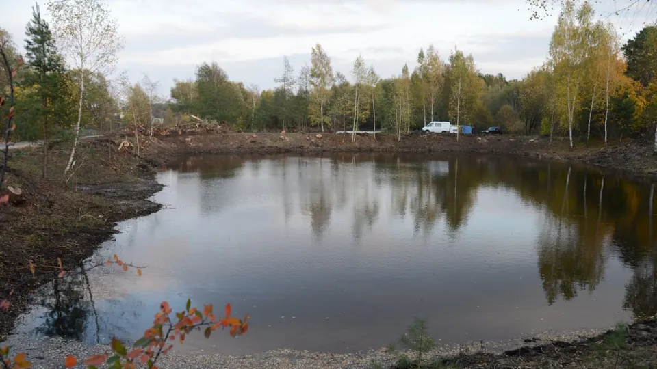 Фото: REGIONS/Нина Соколова