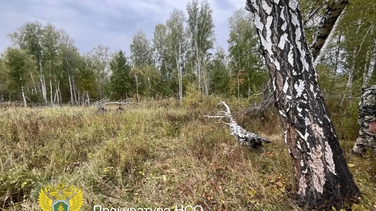прокуратура Новосибирской области