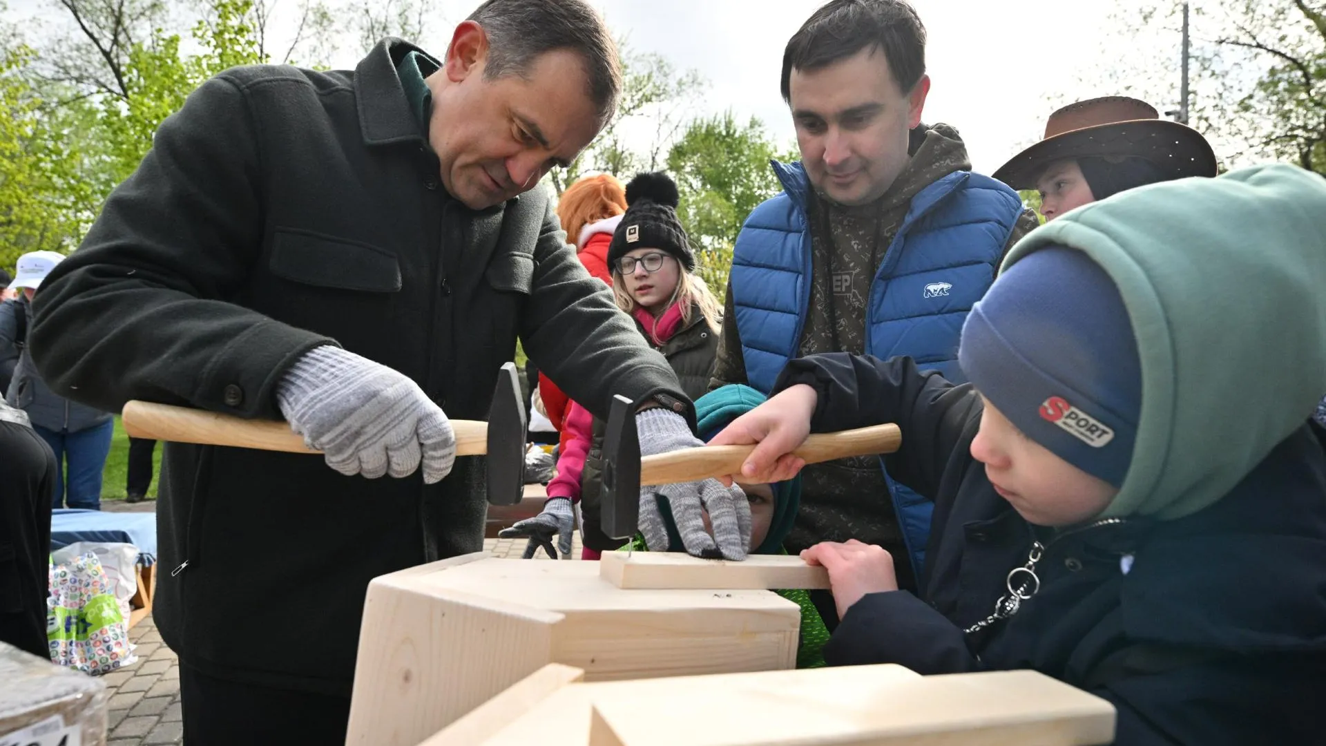 Картинка