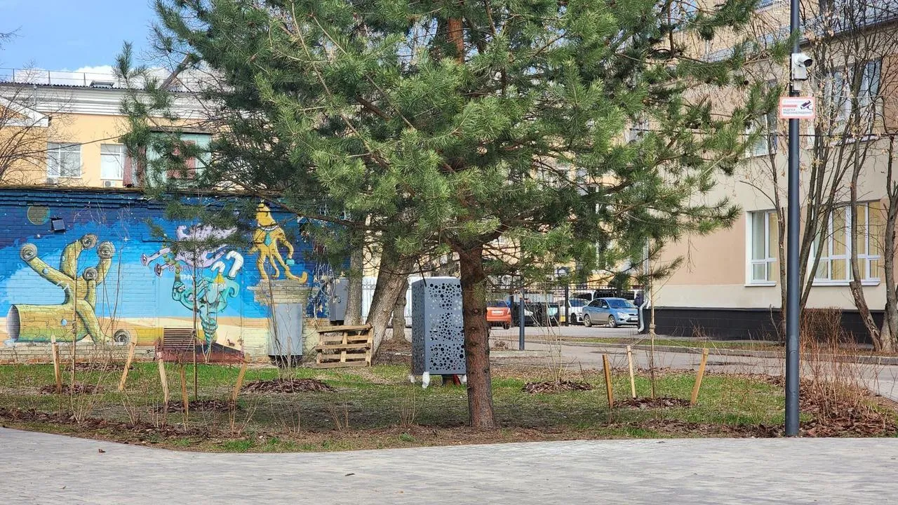 Картинка