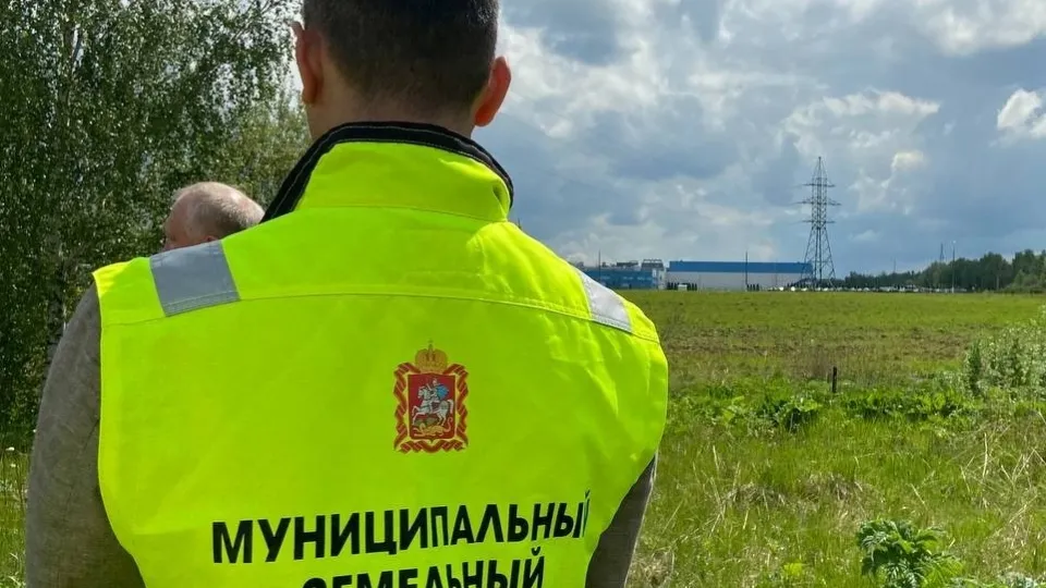 Фото: Министерство имущественных отношений Московской области