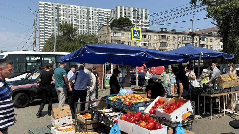 Фото: МедиаБанк Подмосковья/Анна Дука
