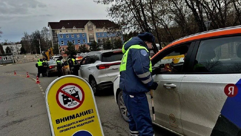 Фото: Госавтоинспекция городского округа Красногорск