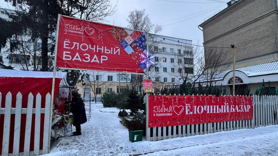 Фото: пресс-служба администрации Сергиево-Посадского г.о.