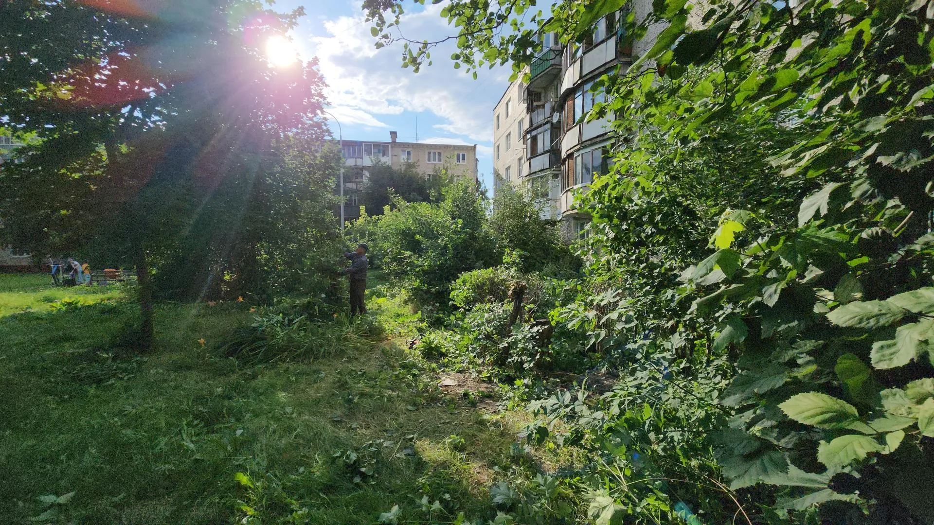 Картинка
