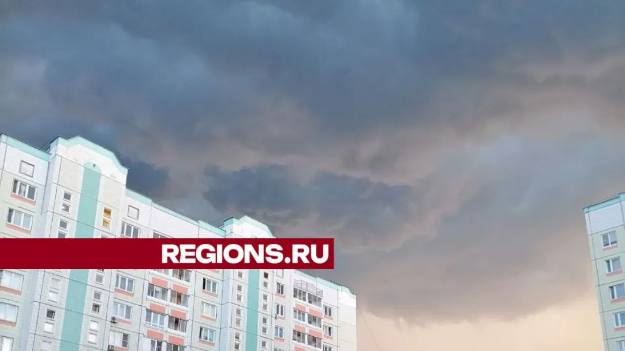 Фото: Наталья Широкая