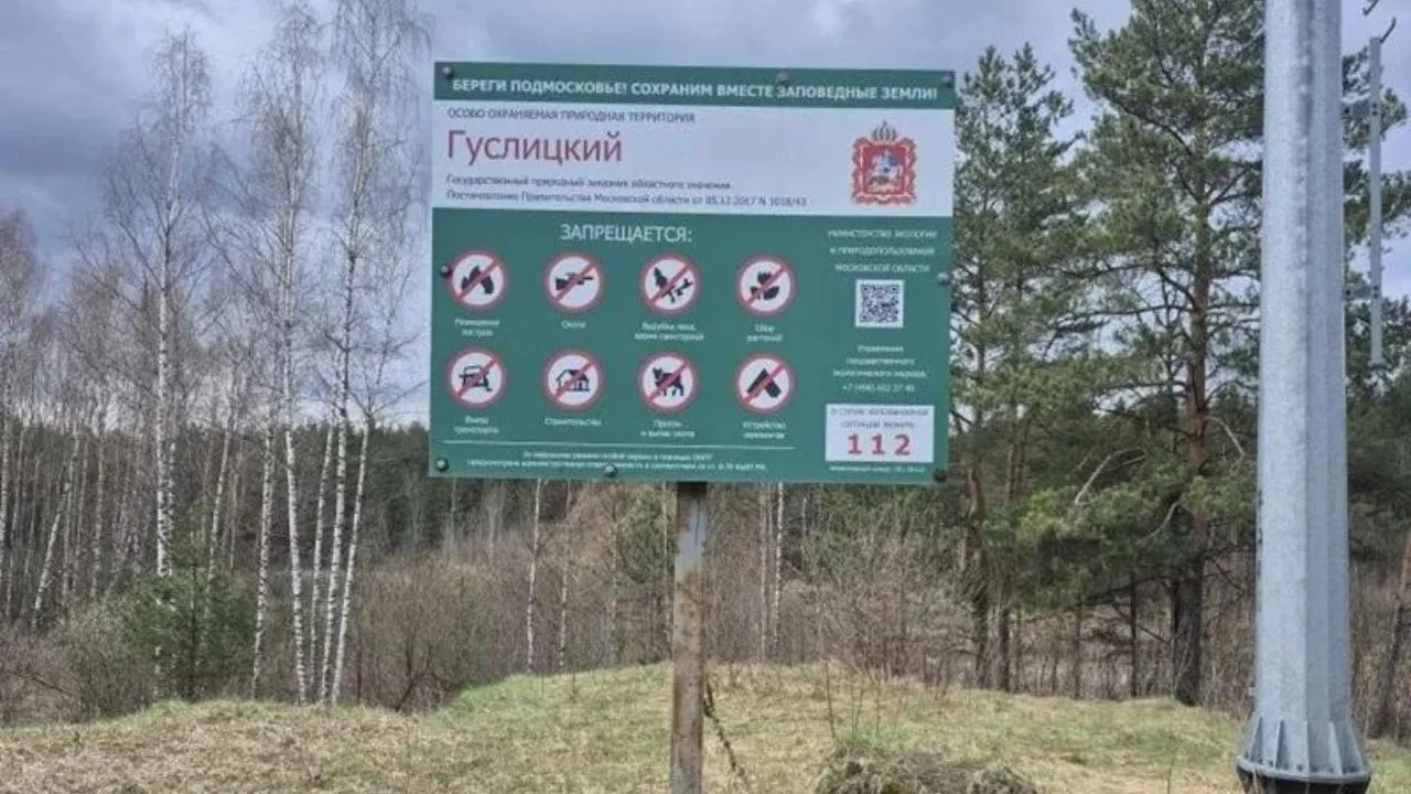 В Подмосковье задержали 9 нарушителей природоохранного законодательства