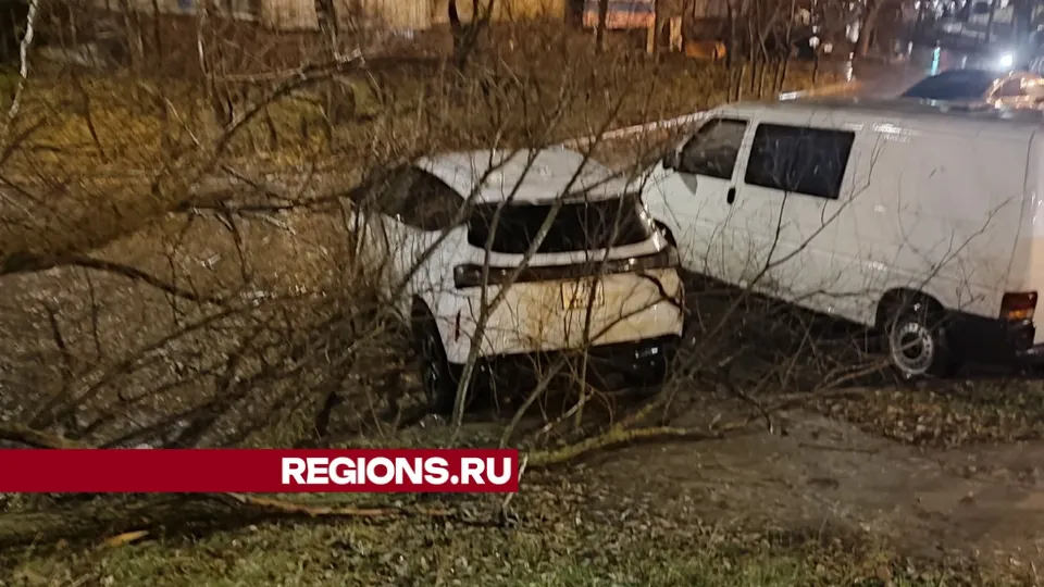 Фото: Алексей Сычев
