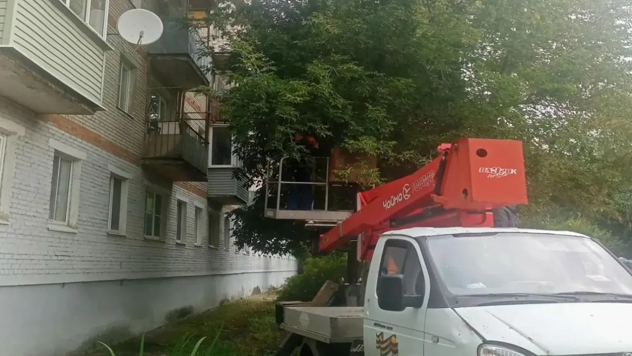 Картинка