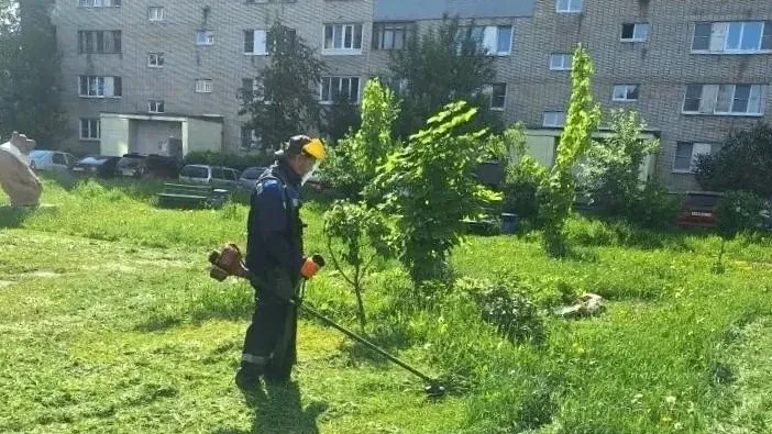 Картинка