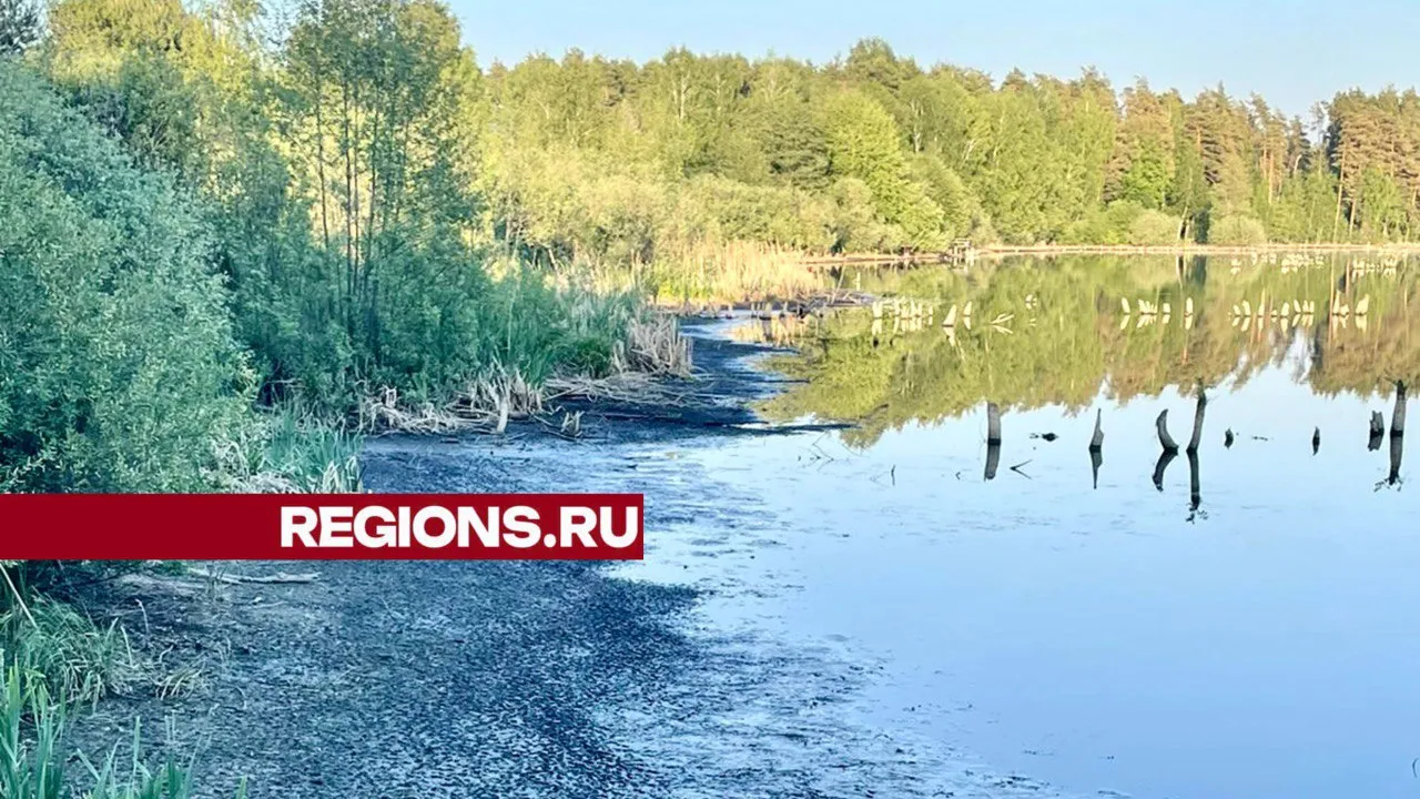 Фото: Сергей Букин
