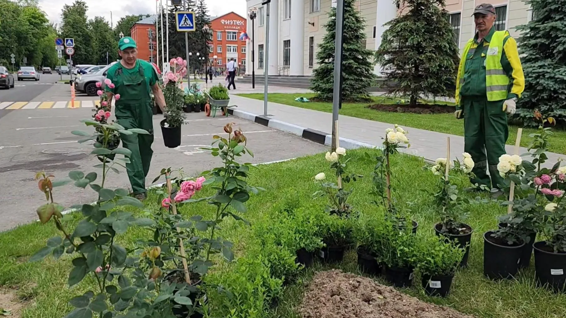 Картинка