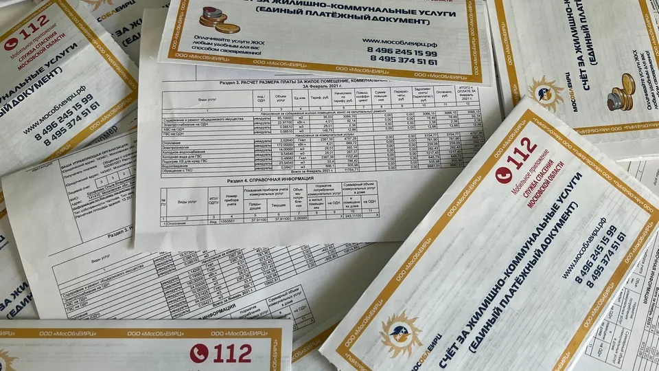 Фото: МедиаБанк Подмосковья/Валерия Ерофеева