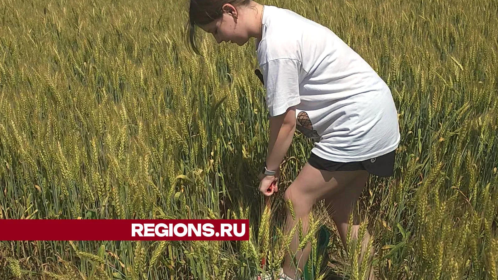 Фото: Андрей Семибратов
