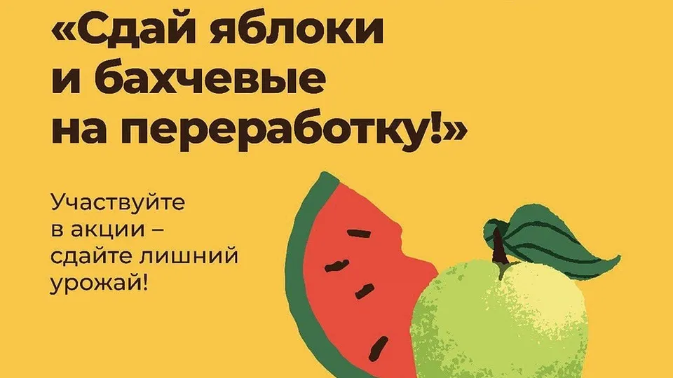 Фото: пресс-служба Минчистоты Московской области