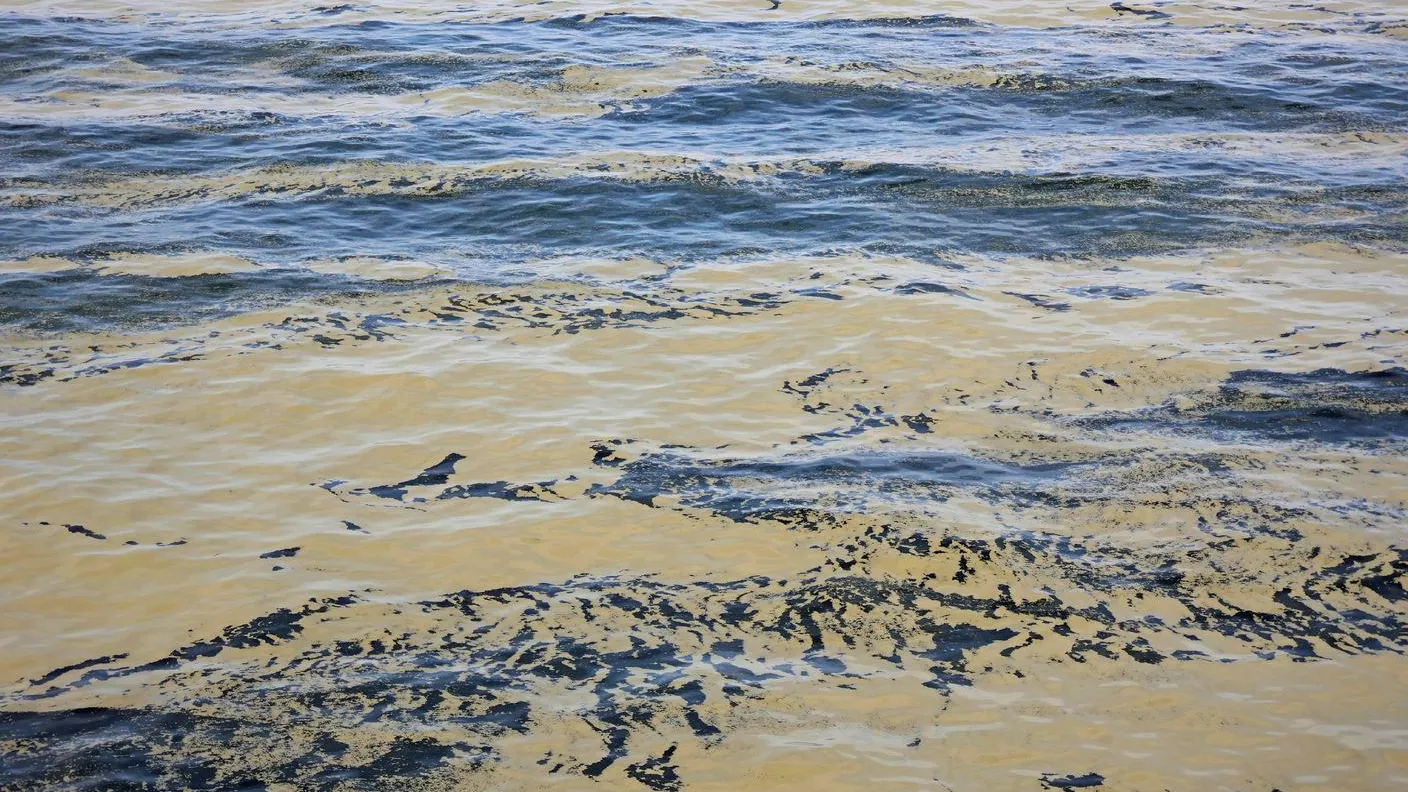 IMAGO/IP/www.imago-images.de