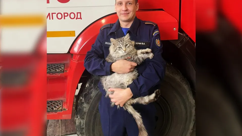 Кот Балоша и пожарный звенигородской части №318 Валерий Зорин. Фото: пресс-служба ГКУ МО «Мособлпожспас»