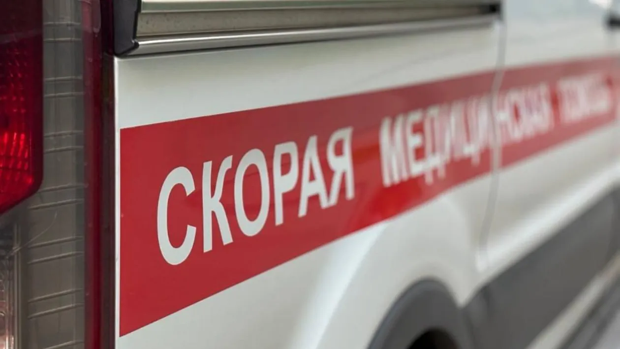 Картинка