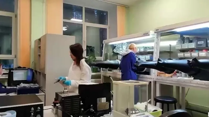 Фото: скрин сюжета телеканала НТВ