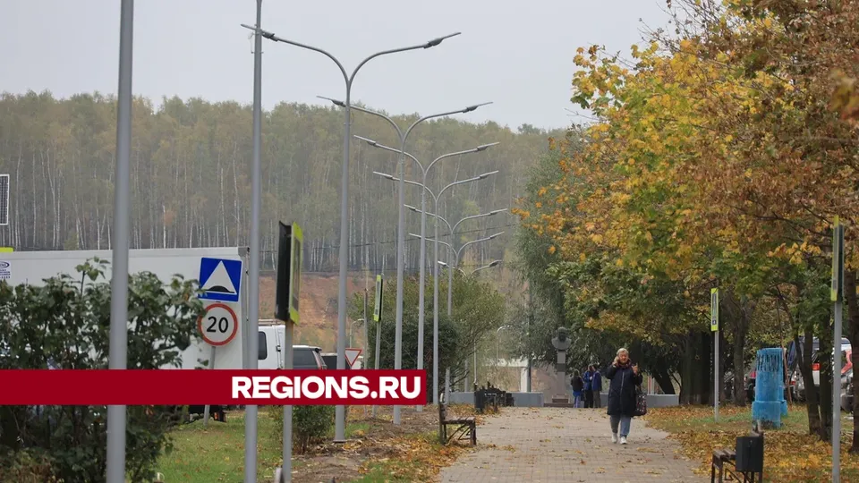 Фото: Алексей Грызлов