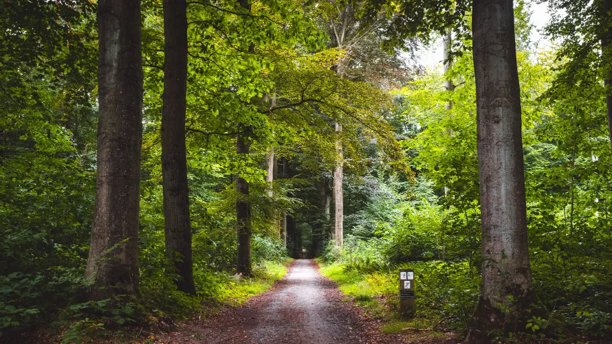 Фото: freepik.com